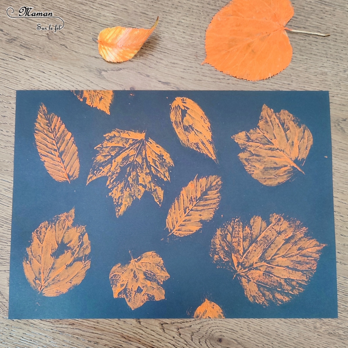 Empreintes De Feuilles La Peinture Et Contours Activit Maman Sur