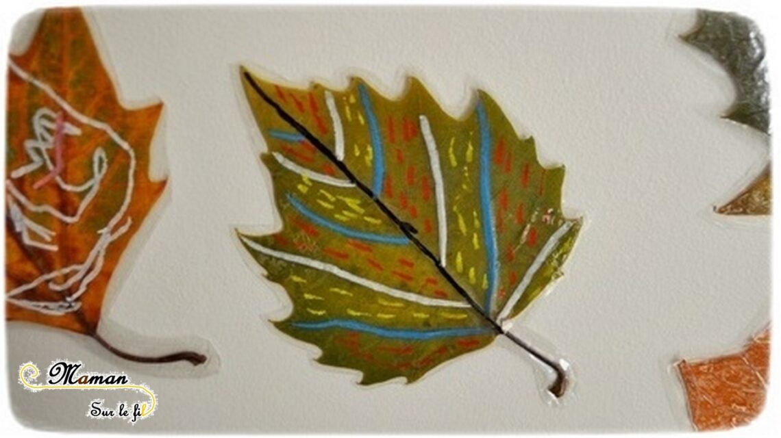 Dessins sur feuilles d'automne : atelier pour adultes - L'Académie du Climat