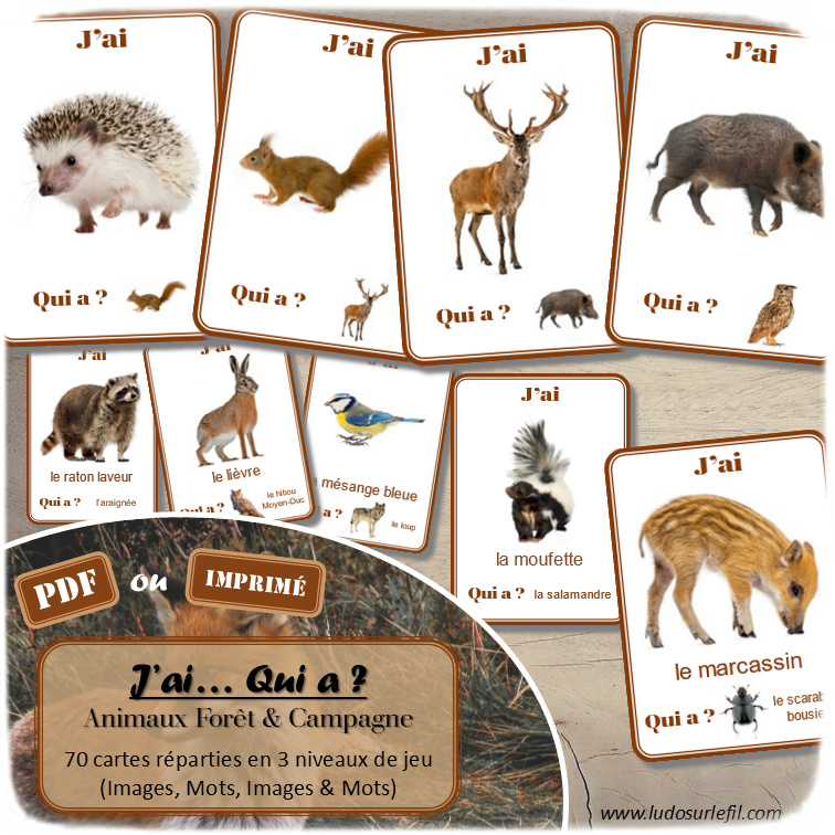 Jeu J'ai... qui a ? Animaux de la forêt et de la campagne - Travail sur le vocabulaire des animaux - développement et réinvestissement du langage, du lexique, de la logique - 70 cartes - 3 niveaux - 3 versions - lecture de mots - Jeu évolutif - Atelier autonome maternelle et cycle 2 - fichier à télécharger et à imprimer sous format PDF ou jeu imprimé - Automne, bois, nature