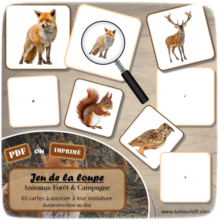 Jeu de la loupe - Animaux de la forêt & de la campagne -Automne - Vocabulaire, lexique - cartes à associer aux miniatures - Utilisation d'une loupe - document PDF à télécharger et à imprimer ou jeu imprimé - atelier autocorrectif et autonome maternelle - lslf