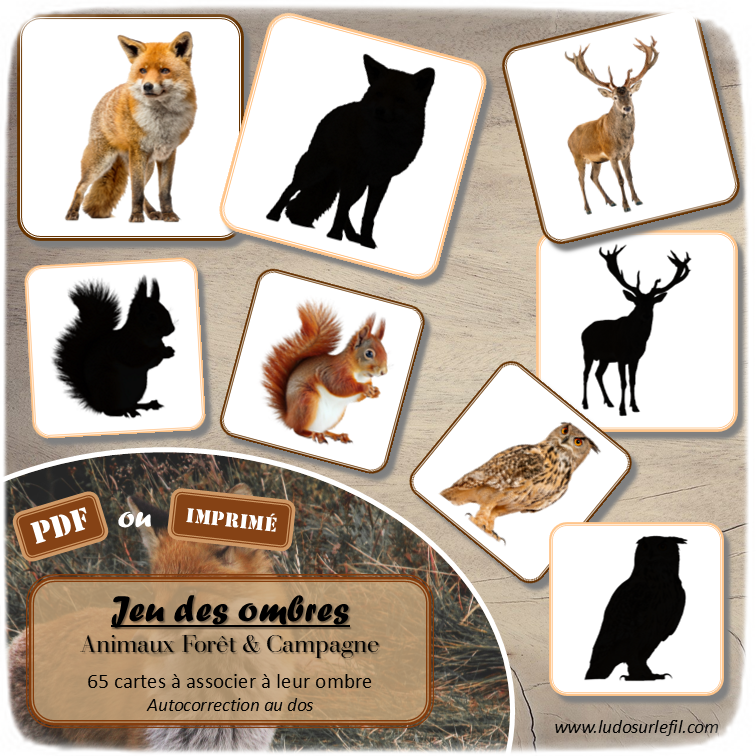 Jeu des ombres - Animaux de la forêt & de la campagne -Automne - Vocabulaire, lexique - cartes à associer aux ombres - document PDF à télécharger et à imprimer ou jeu imprimé - atelier autocorrectif et autonome maternelle - lslf