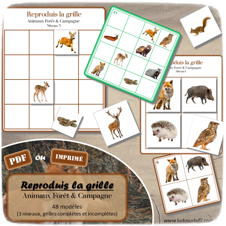 Reproduis la grille - Animaux de la forêt et de la campagne - 48 modèles à reproduire - Repérage dans l'espace et vocabulaire spatial - Variante pour travailler la mémoire - Variante à deux pour le langage oral - Dicte, décris la grille pour que l'autre jouer la reproduise - jeu et atelier autonome Maternelle (Cycle 1) et Primaire (Cycle 2) - PDF à télécharger et à imprimer ou jeu imprimé - difficulté progressive - repérage spatial - se repérer dans une grille, dans un tableau - Thèmes automne, bois, nature lslf