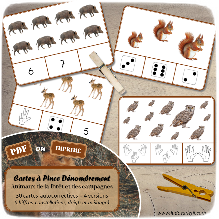 Jeu de cartes à pince de dénombrement de 1 à 15 - Thème Animaux de la forêt et des campagnes - 30 cartes autocorrectives avec différentes représentations des nombres - constellations du dé, chiffres, doigts de la main, mélangé - compter de 1 à 15 - 120 cartes réparties en 4 niveaux de difficulté - progressif - Autocorrection au dos - Atelier autonome maternelle ou élémentaire - Cycles 1 et 2 - Document PDF à télécharger et imprimer ou jeu imprimé - Motricité fine et pince Pouce-Index avec pinces à linge - ludique - Thème automne, nature, bois - lslf