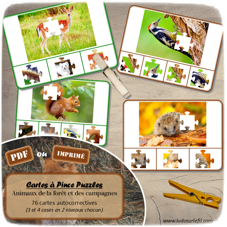 Jeu de cartes à pince - Puzzles - Thème Animaux de la forêt et des campagnes - 76 cartes autocorrectives de différents niveaux - 3 ou 4 propositions de réponses - Niveau 1 : pièces issues de puzzles différents - Niveau 2 : pièces issues du même puzzle - différents niveaux de difficulté - progressif - Autocorrection au dos : point grisé + nom de l'animal - Atelier autonome pré-scolaire, maternelle ou élémentaire - Cycles 1 et 2 - Document PDF à télécharger et imprimer ou jeu imprimé - Motricité fine et pince Pouce-Index avec pinces à linge, observation, discrimination visuelle, logique - ludique - Thème automne, nature, bois - lslf