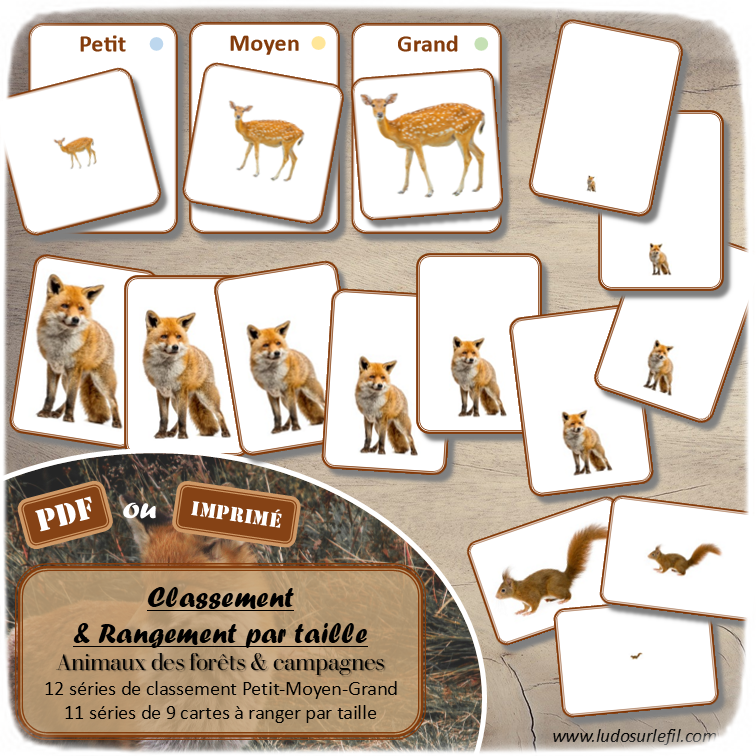 Jeu de classement, de rangement et de tri par taille - Animaux de la forêt et de la campagne - Cartes à trier, à classer et à ranger - Petit Moyen Grand - Forêts, campagnes, bois, champs, mammifères, insectes, oiseaux, automne - fichier PDF à télécharger et à imprimer ou jeu imprimé - atelier autocorrectif maternelle et pré-scolaire - lslf