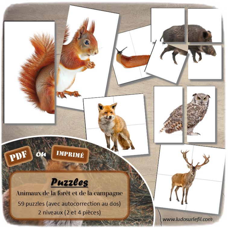 Jeu de puzzles - Animaux de la forêt et de la campagne - Automne - 2 et 4 pièces - Demi animaux - 59 photos sur fond blanc à reconstituer - Jeu et atelier autocorrectif association - observation - discrimination visuelle - PDF à télécharger et à imprimer ou jeu imprimé - Autocorrection - Atelier maternelle Cycle 2 - Vocabulaire - lslf