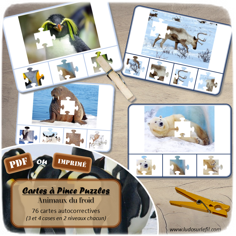 Jeu de cartes à pince - Puzzles - Thème Animaux du froid - 76 cartes autocorrectives de différents niveaux - 3 ou 4 propositions de réponses - Niveau 1 : pièces issues de puzzles différents - Niveau 2 : pièces issues du même puzzle - différents niveaux de difficulté - progressif - Autocorrection au dos : point grisé - Atelier autonome pré-scolaire, maternelle ou élémentaire - Cycles 1 et 2 - Document PDF à télécharger et imprimer ou jeu imprimé - Motricité fine et pince Pouce-Index avec pinces à linge, observation, discrimination visuelle, logique - ludique - Thème Hiver, Banquise, Antarctique, Arctique, pôles - lslf