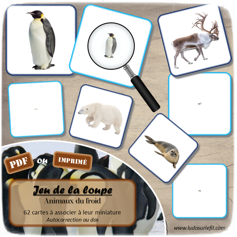 Jeu de la loupe - Animaux du froid et de la banquise - Hiver - Vocabulaire, lexique - cartes à associer aux miniatures - Apprentissage de l'utilisation de la loupe - document PDF à télécharger et à imprimer ou jeu imprimé - atelier autocorrectif et autonome maternelle - Hiver - lslf