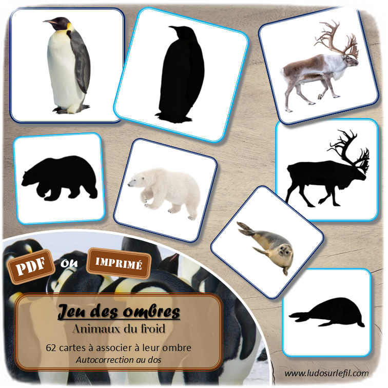 Jeu des ombres - Animaux du froid et de la banquise - Hiver - Vocabulaire, lexique - cartes à associer aux ombres - document PDF à télécharger et à imprimer ou jeu imprimé - atelier autocorrectif et autonome maternelle - Hiver - lslf