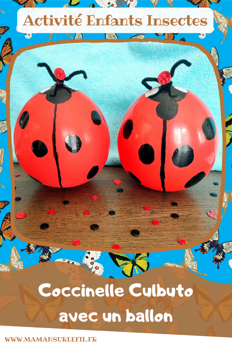 Coccinelle Culbuto Avec Un Ballon {activité} Maman Sur Le Fil