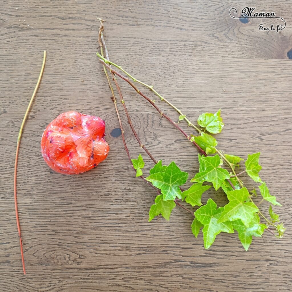 Fabriquer des méduses Nature et récup' : activité créative, nature et manuelle enfants - Recyclage et surcyclage de bouteilles en plastique - Collage de pétales de fleurs : roses et coquelicots - Filaments, Tentacules avec des branches de lierre - Décoration, suspensions DIY - Land Art et atelier nature - Thème animaux marins, poissons, été, aquarium, mer, océan - Bricolage sympa et facile - Arts visuels Maternelle et cycle 2 - Arts visuels et atelier Maternelle et élémentaire - Créativité - Cycle 1 ou 2 - tutoriel photos - mslf