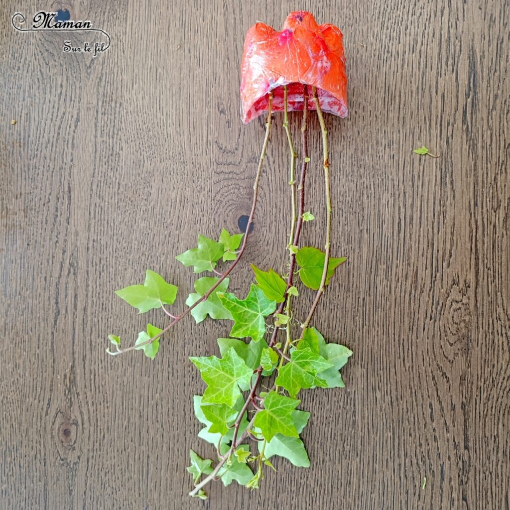 Fabriquer des méduses Nature et récup' : activité créative, nature et manuelle enfants - Recyclage et surcyclage de bouteilles en plastique - Collage de pétales de fleurs : roses et coquelicots - Filaments, Tentacules avec des branches de lierre - Décoration, suspensions DIY - Land Art et atelier nature - Thème animaux marins, poissons, été, aquarium, mer, océan - Bricolage sympa et facile - Arts visuels Maternelle et cycle 2 - Arts visuels et atelier Maternelle et élémentaire - Créativité - Cycle 1 ou 2 - tutoriel photos - mslf