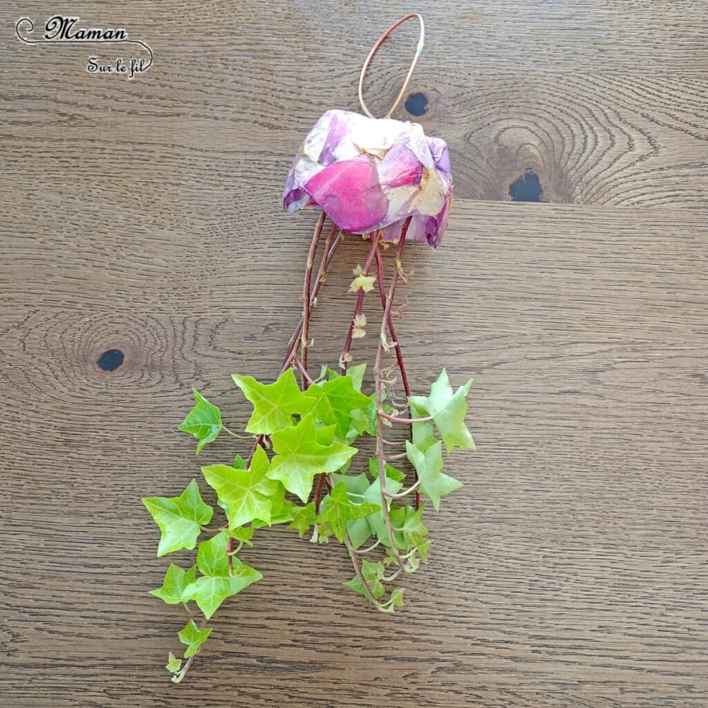 Fabriquer des méduses Nature et récup' : activité créative, nature et manuelle enfants - Recyclage et surcyclage de bouteilles en plastique - Collage de pétales de fleurs : roses et coquelicots - Filaments, Tentacules avec des branches de lierre - Décoration, suspensions DIY - Land Art et atelier nature - Thème animaux marins, poissons, été, aquarium, mer, océan - Bricolage sympa et facile - Arts visuels Maternelle et cycle 2 - Arts visuels et atelier Maternelle et élémentaire - Créativité - Cycle 1 ou 2 - tutoriel photos - mslf