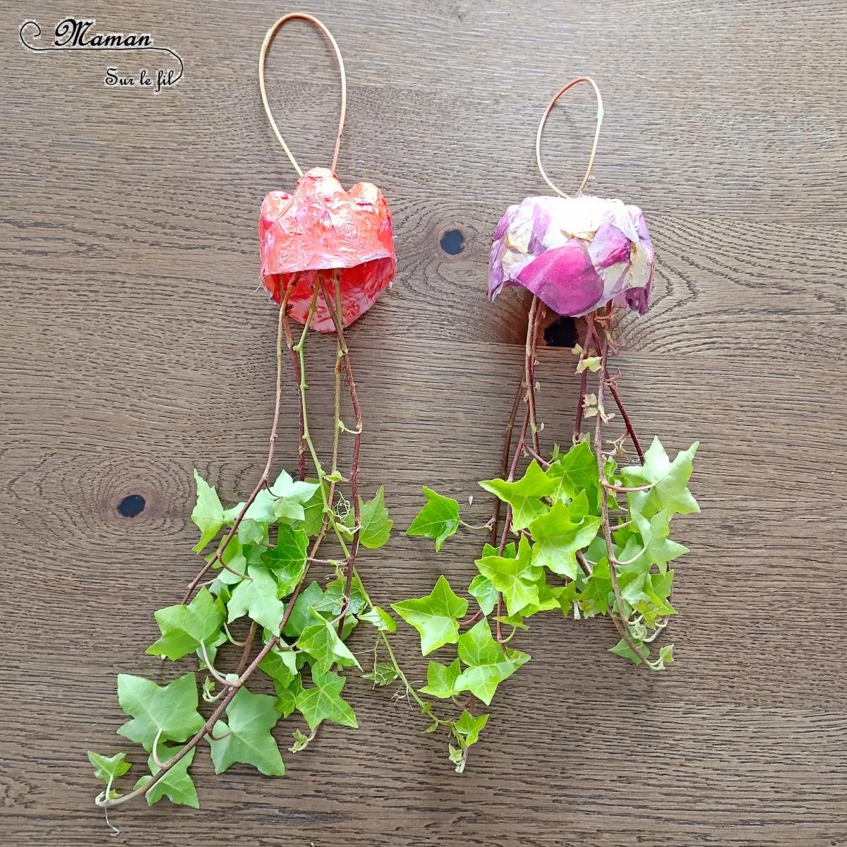 Fabriquer des méduses Nature et récup' : activité créative, nature et manuelle enfants - Recyclage et surcyclage de bouteilles en plastique - Collage de pétales de fleurs : roses et coquelicots - Filaments, Tentacules avec des branches de lierre - Décoration, suspensions DIY - Land Art et atelier nature - Thème animaux marins, poissons, été, aquarium, mer, océan - Bricolage sympa et facile - Arts visuels Maternelle et cycle 2 - Arts visuels et atelier Maternelle et élémentaire - Créativité - Cycle 1 ou 2 - tutoriel photos - mslf