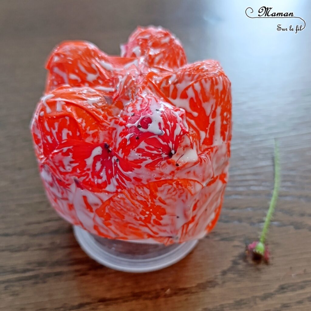 Fabriquer des méduses Nature et récup' : activité créative, nature et manuelle enfants - Recyclage et surcyclage de bouteilles en plastique - Collage de pétales de fleurs : roses et coquelicots - Filaments, Tentacules avec des branches de lierre - Décoration, suspensions DIY - Land Art et atelier nature - Thème animaux marins, poissons, été, aquarium, mer, océan - Bricolage sympa et facile - Arts visuels Maternelle et cycle 2 - Arts visuels et atelier Maternelle et élémentaire - Créativité - Cycle 1 ou 2 - tutoriel photos - mslf