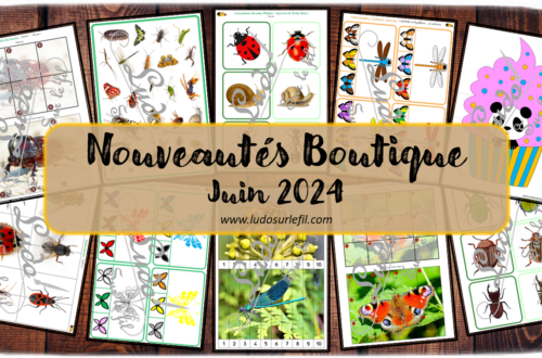 Nouveautés juin 2024 - Boutique en ligne Ludo sur le fil - fichiers jeux pdf à télécharger et imprimer ou jeux imprimés envoyés à domicile - Thèmes Insectes et petites bêtes, printemps, pandas, gourmandises - Cartes à pince - Couleurs, papillons, association dessins - photos, puzzles trac, puzzles numériques, cherche et trouve, jeu du zoom - Photos, discrimination visuelle, association, mise en paire, lecture - jeux, activités - atelier autocorrectif multi niveaux donc progressif - Vocabulaire, lexique - Maternelle Cycle 2 - Autonomie - mslf