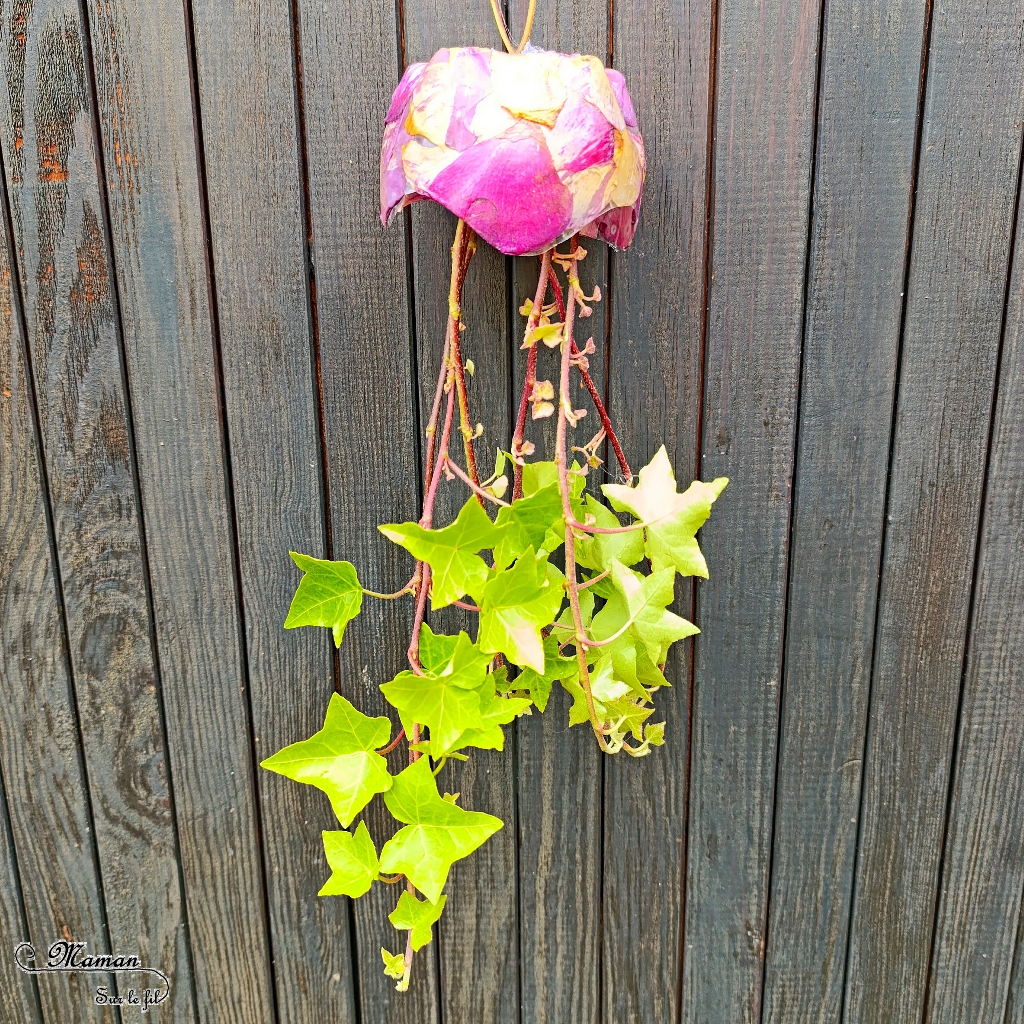 Fabriquer des méduses Nature et récup' : activité créative, nature et manuelle enfants - Recyclage et surcyclage de bouteilles en plastique - Collage de pétales de fleurs : roses et coquelicots - Filaments, Tentacules avec des branches de lierre - Décoration, suspensions DIY - Land Art et atelier nature - Thème animaux marins, poissons, été, aquarium, mer, océan - Bricolage sympa et facile - Arts visuels Maternelle et cycle 2 - Arts visuels et atelier Maternelle et élémentaire - Créativité - Cycle 1 ou 2 - tutoriel photos - mslf