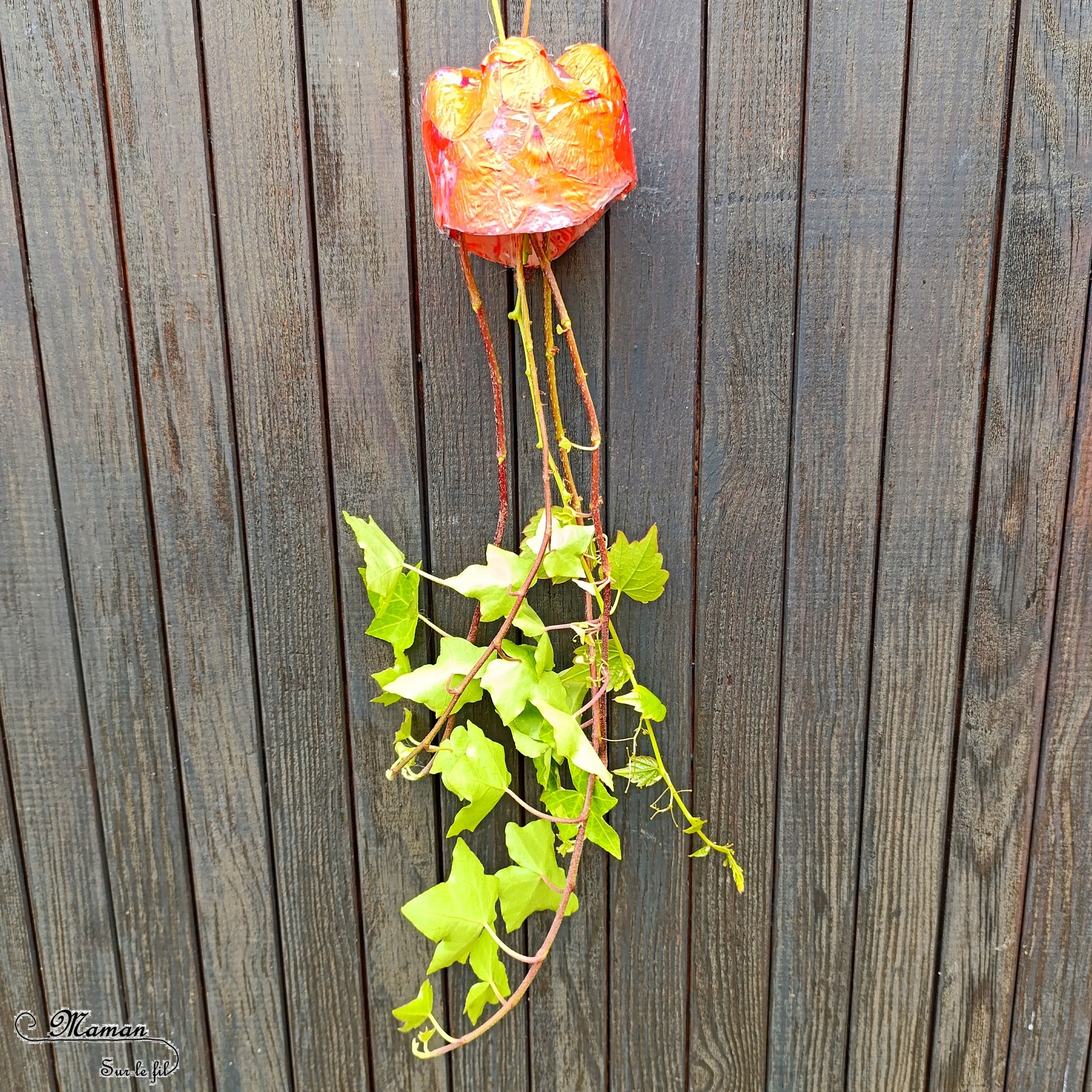 Fabriquer des méduses Nature et récup' : activité créative, nature et manuelle enfants - Recyclage et surcyclage de bouteilles en plastique - Collage de pétales de fleurs : roses et coquelicots - Filaments, Tentacules avec des branches de lierre - Décoration, suspensions DIY - Land Art et atelier nature - Thème animaux marins, poissons, été, aquarium, mer, océan - Bricolage sympa et facile - Arts visuels Maternelle et cycle 2 - Arts visuels et atelier Maternelle et élémentaire - Créativité - Cycle 1 ou 2 - tutoriel photos - mslf