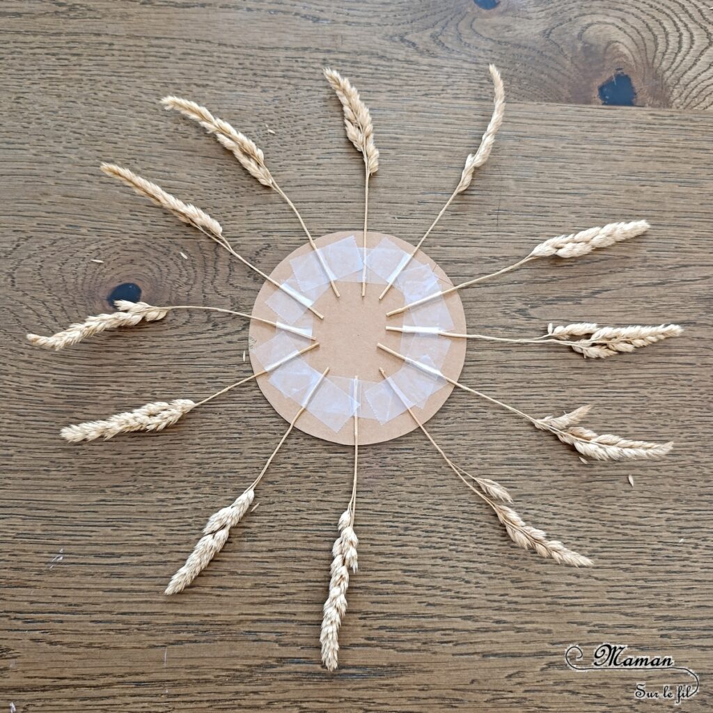 Créer un soleil en carton et herbes séchées : activité créative, récup', nature et manuelle enfants - Recyclage, surcyclage de carton - Rayons faits avec des herbes séchées ou des épis de blé - Atelier nature, Land art - Découpage, collage - Thème météo, été- Bricolage sympa et facile - Arts visuels Maternelle et cycle 2 - Maternelle et élémentaire - Créativité - Cycle 1 ou 2 - tutoriel photos - mslf