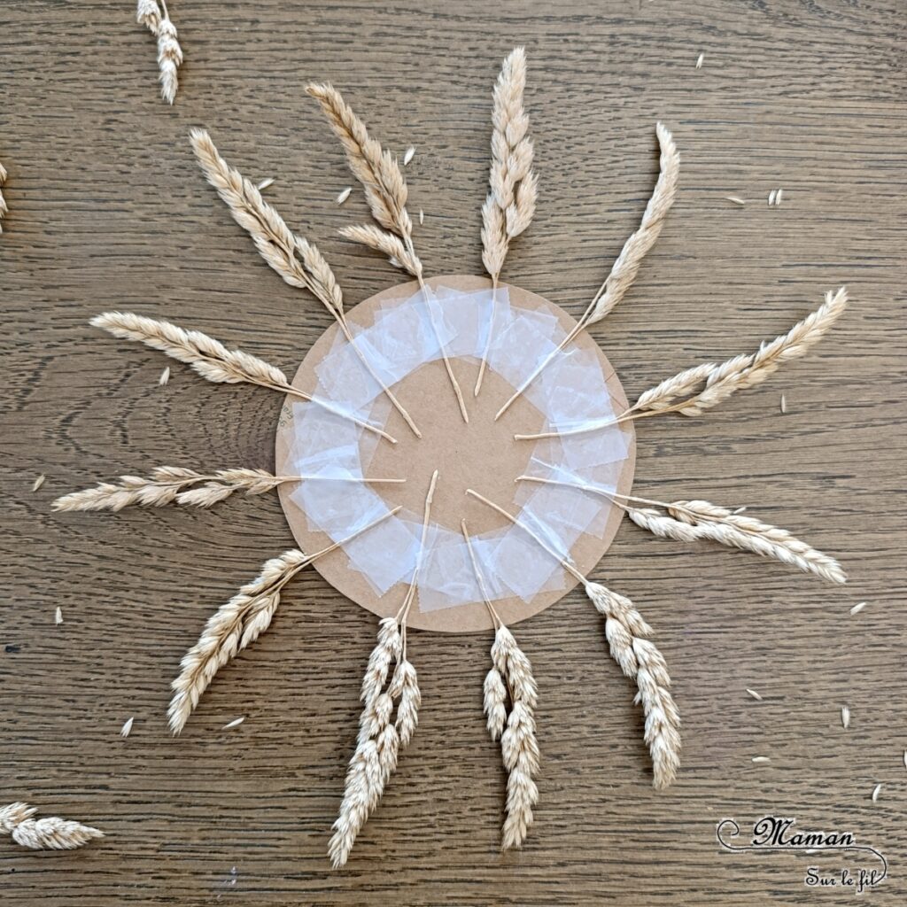 Créer un soleil en carton et herbes séchées : activité créative, récup', nature et manuelle enfants - Recyclage, surcyclage de carton - Rayons faits avec des herbes séchées ou des épis de blé - Atelier nature, Land art - Découpage, collage - Thème météo, été- Bricolage sympa et facile - Arts visuels Maternelle et cycle 2 - Maternelle et élémentaire - Créativité - Cycle 1 ou 2 - tutoriel photos - mslf