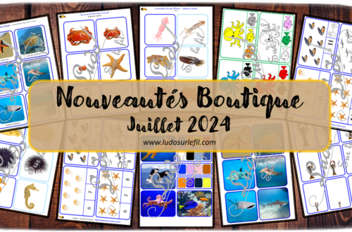 Nouveautés juillet 2024 - Boutique en ligne Ludo sur le fil - fichiers jeux pdf à télécharger et imprimer ou jeux imprimés envoyés à domicile - Thèmes Animaux marins, poissons, été - Cartes à pince - Couleurs, dénombrement, association dessins - photos, cartes Montessori, nomenclature, classifiées, tri, classement, rangement par taille, repère les couleurs - Photos, discrimination visuelle, association, mise en paire, lecture - jeux, activités - atelier autocorrectif multi niveaux donc progressif - Vocabulaire, lexique - Maternelle Cycle 2 - Autonomie - mslf