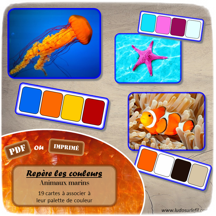 Jeu repère les couleurs - Animaux marins - photos / cartes à associer aux palettes de 4 couleurs - à télécharger et à imprimer - atelier autocorrectif maternelle ou cycle 2 - observation, déduction, logique, discrimination visuelle, vocabulaire et lexique - Thème animaux, poissons, mer, océans, été - lslf