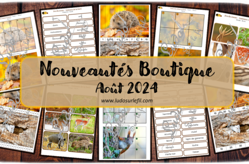 Nouveautés août 2024 - Boutique en ligne Ludo sur le fil - fichiers jeux pdf à télécharger et imprimer ou jeux imprimés envoyés à domicile - Thèmes Animaux de la forêt et des campagnes, nature, automne - Jeu du zoom, puzzles numériques, puzzles trac, file numérique, dénombrement, discrimination visuelle - Photos - Association, mise en paire, lecture - jeux, activités - atelier autocorrectif multi niveaux donc progressif - Vocabulaire, lexique - Maternelle Cycle 2 - Autonomie - mslf