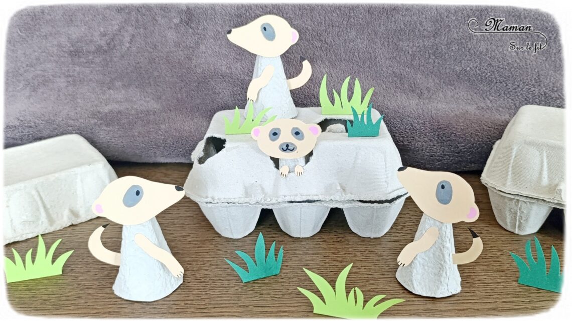 Fabriquer des suricates et leur terrier en boîte à oeufs : activité créative, récup' et manuelle enfants - Recyclage, surcyclage de boîte en carton - Bricolage, découpage, collage, dessin - Thème animaux de la savane, du désert, Afrique, été - Bricolage sympa et facile - Arts visuels Maternelle et cycle 2 - Maternelle et élémentaire - Créativité - Cycle 1 ou 2 - tutoriel photos - mslf