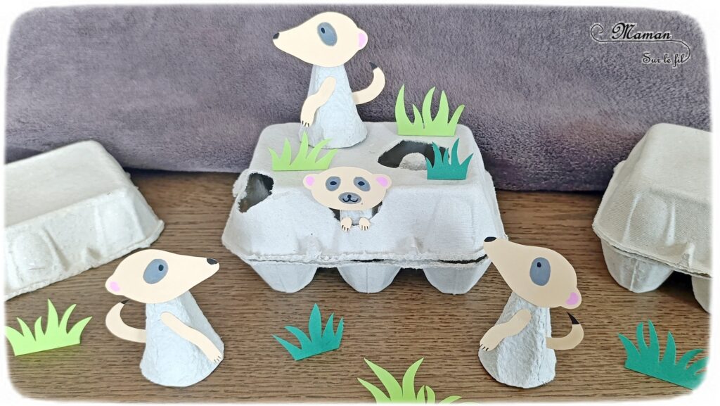 Fabriquer des suricates et leur terrier en boîte à oeufs : activité créative, récup' et manuelle enfants - Recyclage, surcyclage de boîte en carton - Bricolage, découpage, collage, dessin - Thème animaux de la savane, du désert, Afrique, été - Bricolage sympa et facile - Arts visuels Maternelle et cycle 2 - Maternelle et élémentaire - Créativité - Cycle 1 ou 2 - tutoriel photos - mslf