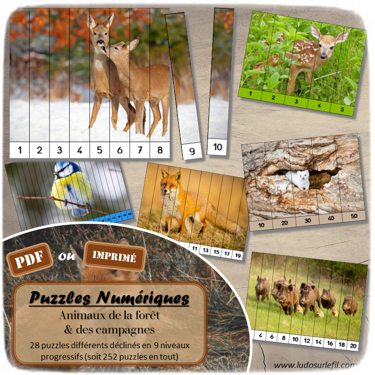 Jeu Puzzles numériques - Animaux de la forêt et des campagnes - 28 puzzles en 9 niveaux progressifs - Suite numérique de 1 à 20 - Comptage de 2 en 2 - Chiffres pairs et impairs - Comptage de 10 en 10 - Connaissance Chiffres et Dizaines - Mathématiques - Comptine numérique - Automne, nature, animaux, bois, champs - Atelier autonome maternelle et élémentaire - PDF à télécharger et imprimer ou jeu imprimé - cycles 1 ou 2 - lslf