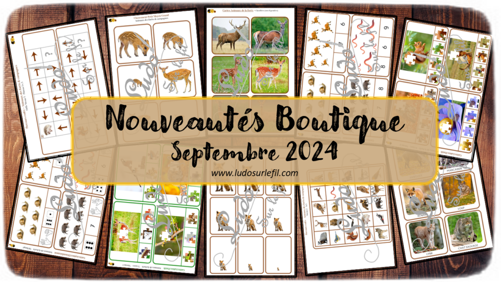 Nouveautés septembre 2024 - Boutique en ligne Ludo sur le fil - fichiers jeux pdf à télécharger et imprimer ou jeux imprimés envoyés à domicile - Thèmes Animaux de la forêt et des campagnes, nature, automne - cartes à pince, dénombrement, puzzles, cartes montessori, nomenclature, classifiées, parcours codés, tri, classement, rangement par taille, discrimination visuelle - Photos - Association, mise en paire, lecture - jeux, activités - atelier autocorrectif multi niveaux donc progressif - Vocabulaire, lexique - Maternelle Cycle 2 - Autonomie - mslf