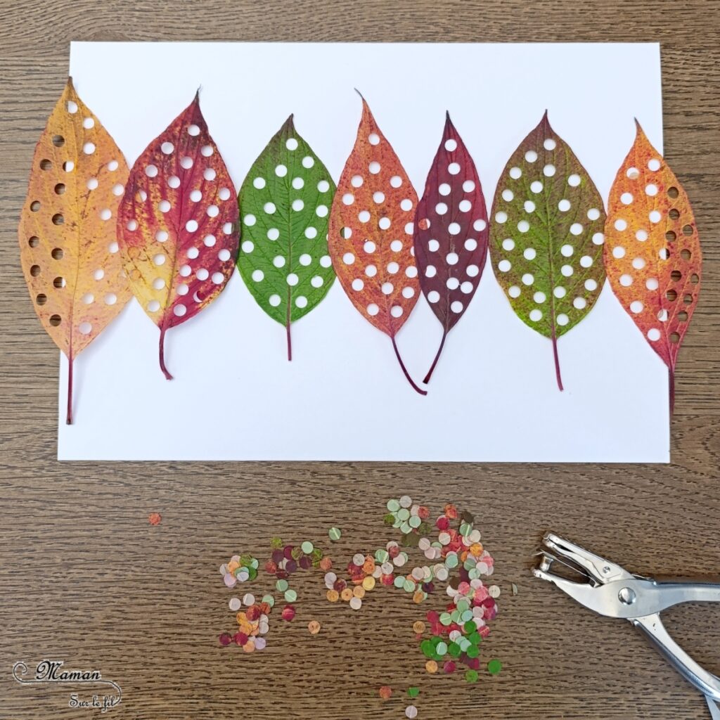 Créer une forêt d'automne avec des feuilles mortes perforées : activité créative, nature et manuelle enfants - Land Art, collage - Travail de la motricité fine avec la perforatrice - Musculation de la main et des doigts - Art éphémère - Confettis de feuilles mortes - Atelier nature, Land art - Thème automne, forêt - Bricolage et décoration sympa et facile - Arts visuels Maternelle et cycle 2 - Maternelle et élémentaire - Créativité - Cycle 1 ou 2 - tutoriel photos - mslf