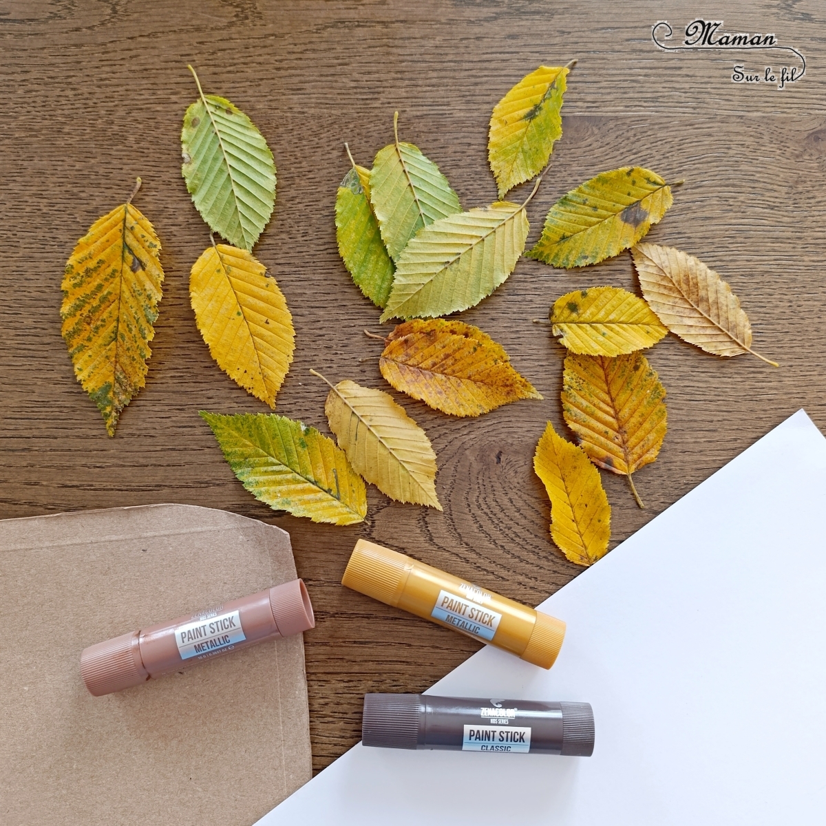 Créer un hérisson en empreintes de feuilles mortes : activité créative, nature, peinture, récup' et manuelle enfants - Technique de peinture avec de la gouache en stick et des feuilles d'automne - Land art avec nature - Récup', recyclage, surcyclage de carton - Décoration - Thème automne, animaux de la forêt, bois, arbres - Bricolage et décoration sympa et facile - Arts visuels Maternelle et cycle 2 - Maternelle et élémentaire - Créativité - Cycle 1 ou 2 - tutoriel photos et vidéo - mslf