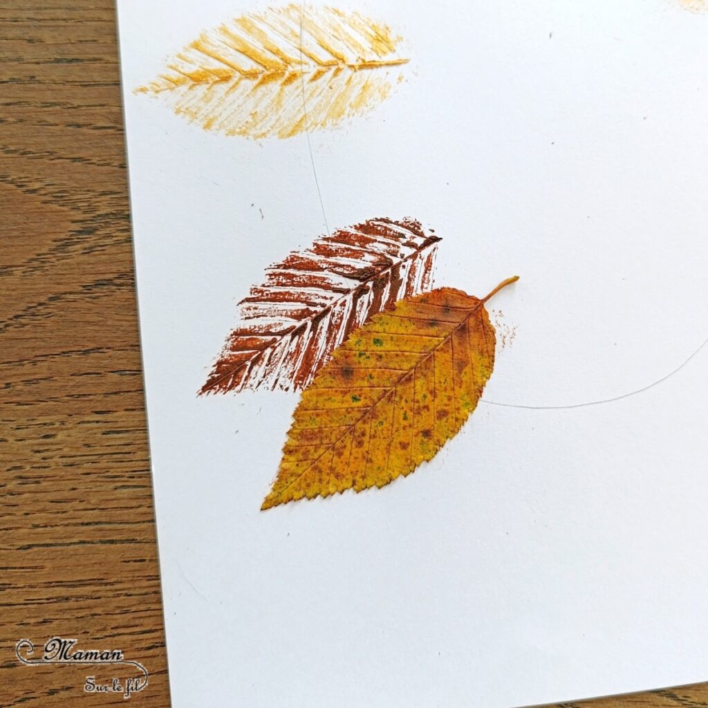 Créer un hérisson en empreintes de feuilles mortes : activité créative, nature, peinture, récup' et manuelle enfants - Technique de peinture avec de la gouache en stick et des feuilles d'automne - Land art avec nature - Récup', recyclage, surcyclage de carton - Décoration - Thème automne, animaux de la forêt, bois, arbres - Bricolage et décoration sympa et facile - Arts visuels Maternelle et cycle 2 - Maternelle et élémentaire - Créativité - Cycle 1 ou 2 - tutoriel photos et vidéo - mslf