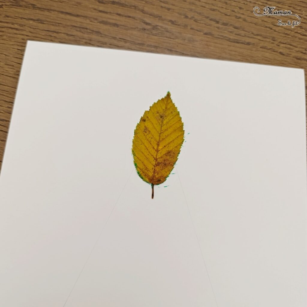 Peindre un sapin en empreintes de feuilles mortes : activité créative, nature, peinture, récup' et manuelle enfants - Technique de peinture avec de la gouache en stick et des feuilles d'automne - Land art avec nature - Paillettes avec gel pailleté hiver - Décoration - Thème Transition entre automne, hiver et Noël, arbres - Bricolage et décoration sympa et facile - Arts visuels Maternelle et cycle 2 - Maternelle et élémentaire - Créativité - Cycle 1 ou 2 - tutoriel photos - mslf