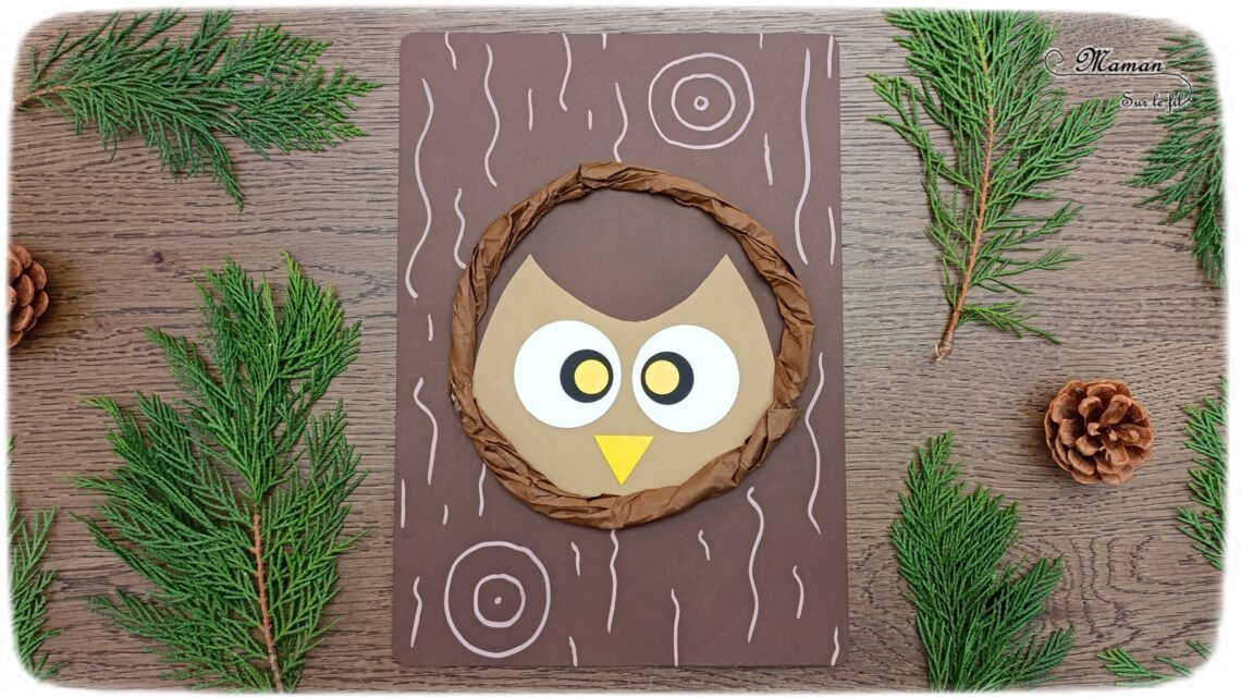 Créer un hibou caché dans son trou d'arbre en papier : activité créative et manuelle enfants - Découpage, collage, papier froissé - Activité facile et rapide au rendu rigolo - Perforatrices Ronds - Cercles - Thème automne, animaux de la forêt, bois, oiseaux, nuit, hiboux et chouettes - Bricolage et décoration sympa et facile - Arts visuels Maternelle et cycle 2 - Maternelle et élémentaire - Créativité - Cycle 1 ou 2 - tutoriel photos - mslf