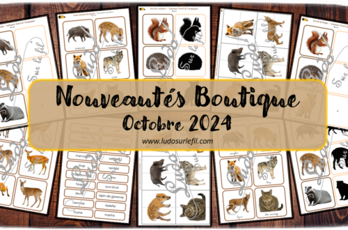 Nouveautés octobre 2024 - Boutique en ligne Ludo sur le fil - fichiers jeux pdf à télécharger et imprimer ou jeux imprimés envoyés à domicile - Thèmes Animaux de la forêt et des campagnes, nature, automne - Puzzles, cartes montessori, nomenclature, classifiées, jeu des ombres, jeu de la loupe, discrimination visuelle - Photos - Association, mise en paire, lecture - jeux, activités - atelier autocorrectif multi niveaux donc progressif - Vocabulaire, lexique - Maternelle Cycle 2 - Autonomie - mslf