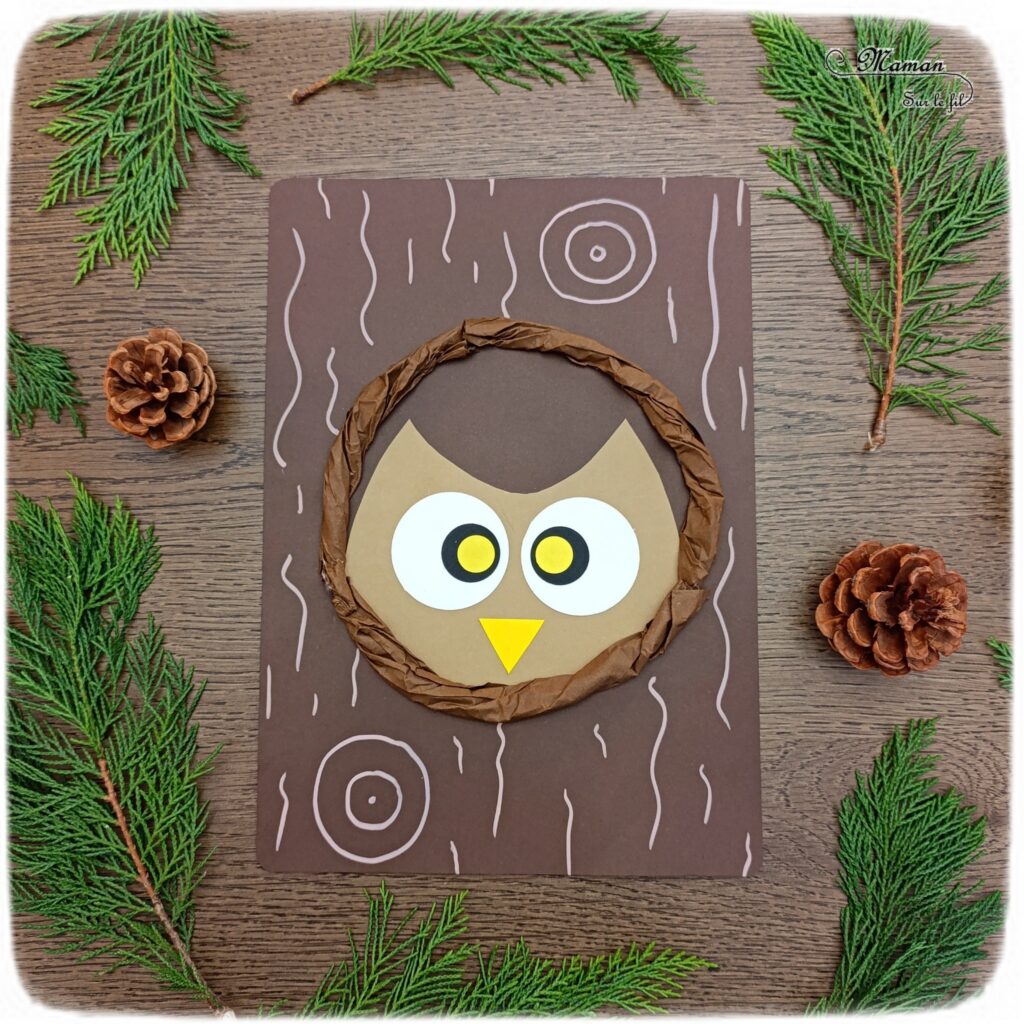 Créer un hibou caché dans son trou d'arbre en papier : activité créative et manuelle enfants - Découpage, collage, papier froissé - Activité facile et rapide au rendu rigolo - Perforatrices Ronds - Cercles - Thème automne, animaux de la forêt, bois, oiseaux, nuit, hiboux et chouettes - Bricolage et décoration sympa et facile - Arts visuels Maternelle et cycle 2 - Maternelle et élémentaire - Créativité - Cycle 1 ou 2 - tutoriel photos - mslf