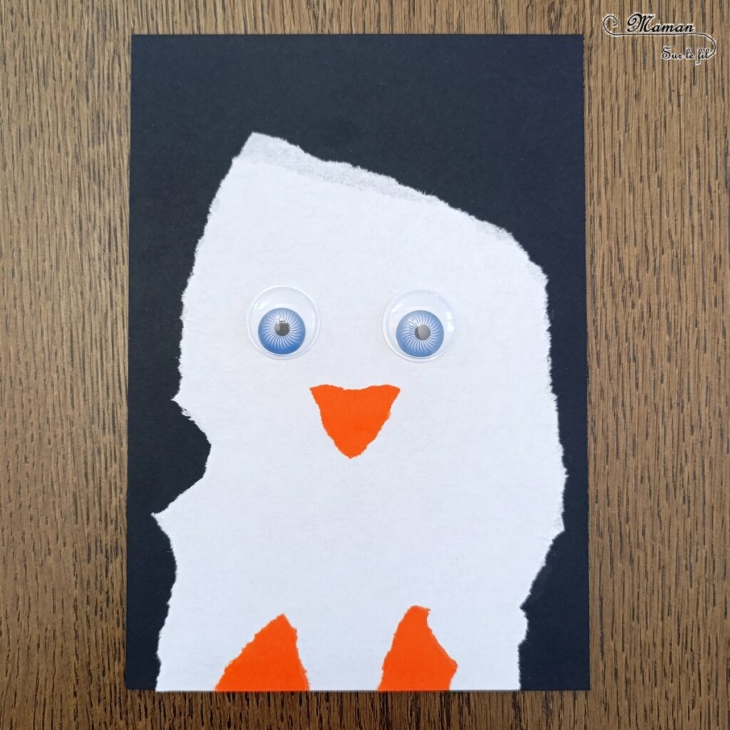 Créer des manchots (ou pingouins) en papier déchiré : activité créative et manuelle enfants - Technique du papier en version rectangle - Manchots mâle et femelle (couple) façon galerie de portraits - Découpage, collage - Thème hiver, animaux du froid et de la banquise - Bricolage et décoration sympa et facile - Arts visuels Maternelle et cycle 2 - Maternelle et élémentaire - Créativité - Cycle 1 ou 2 - tutoriel photos - mslf