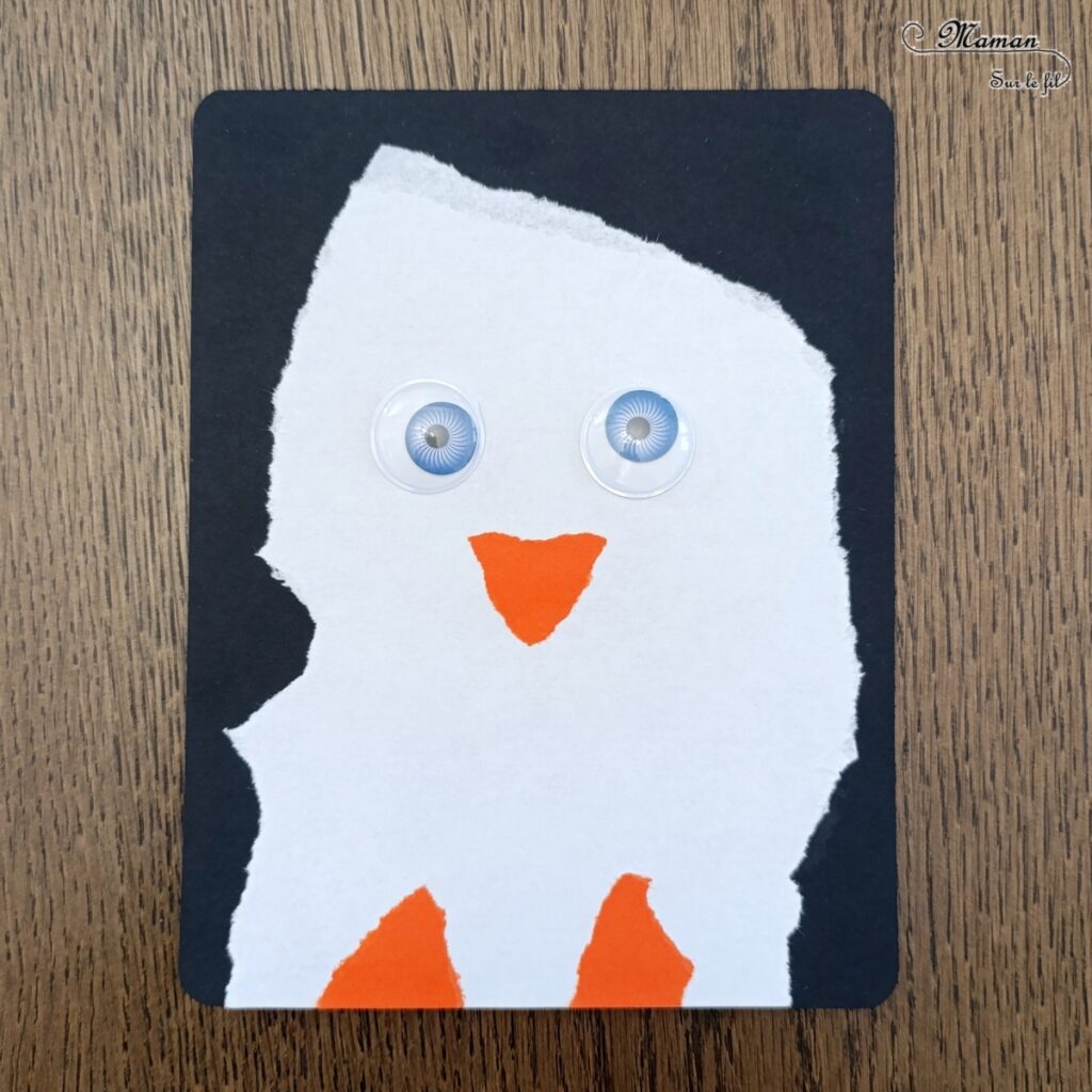 Créer des manchots (ou pingouins) en papier déchiré : activité créative et manuelle enfants - Technique du papier en version rectangle - Manchots mâle et femelle (couple) façon galerie de portraits - Découpage, collage - Thème hiver, animaux du froid et de la banquise - Bricolage et décoration sympa et facile - Arts visuels Maternelle et cycle 2 - Maternelle et élémentaire - Créativité - Cycle 1 ou 2 - tutoriel photos - mslf