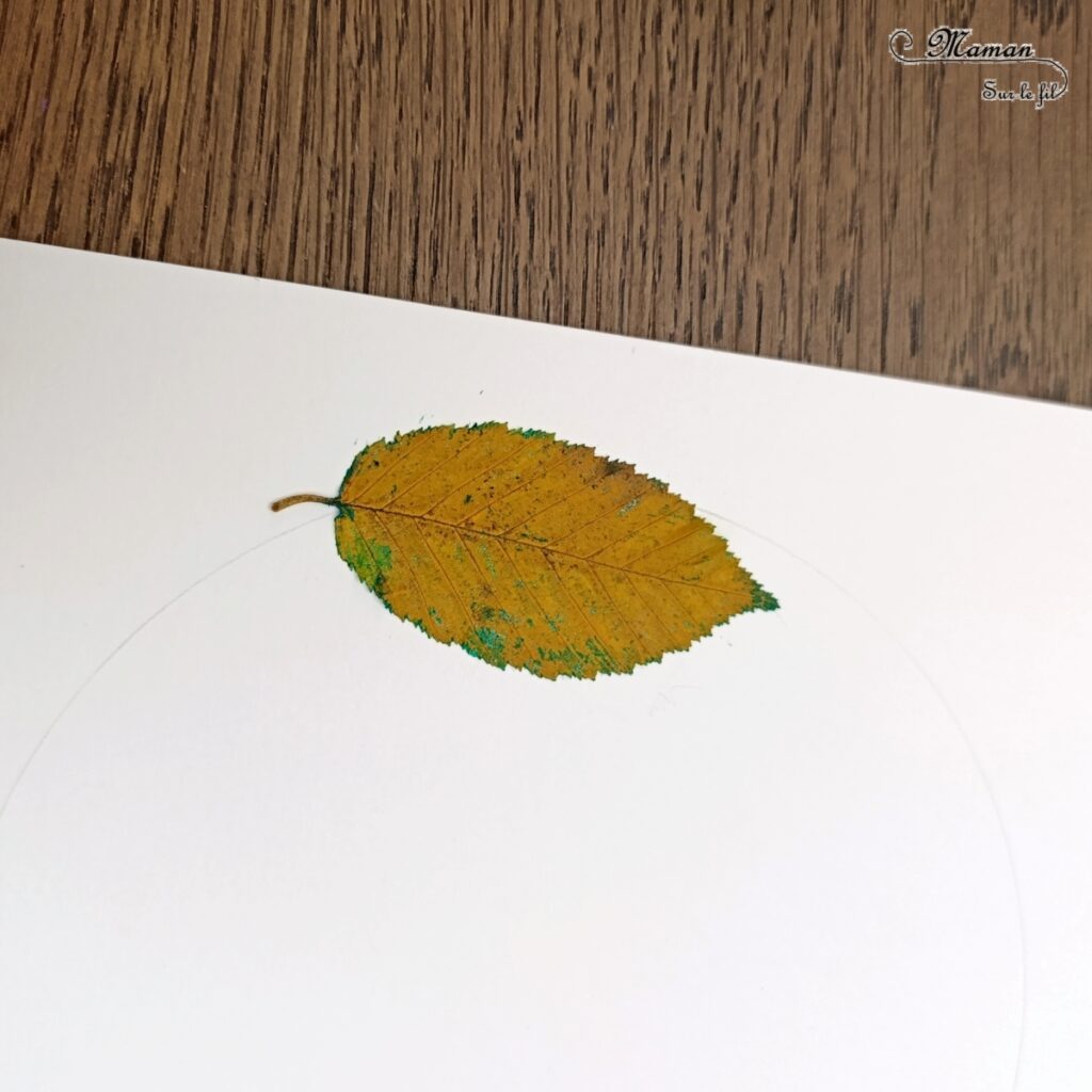 Peindre une couronne de Noël en empreintes de feuilles mortes : activité créative, nature, peinture, récup' et manuelle enfants - Technique de peinture avec de la gouache en stick et des feuilles d'automne - Land art avec nature - Cercle au compas - Pompons rouges, gommettes Etoiles argentées et pailletées, noeud rouge - Décoration - Graphismes et dessins - Thème Transition entre automne, hiver et Noël, arbres - Bricolage et décoration sympa et facile - Arts visuels Maternelle et cycle 2 - Maternelle et élémentaire - Créativité - Cycle 1 ou 2 - tutoriel photos - mslf