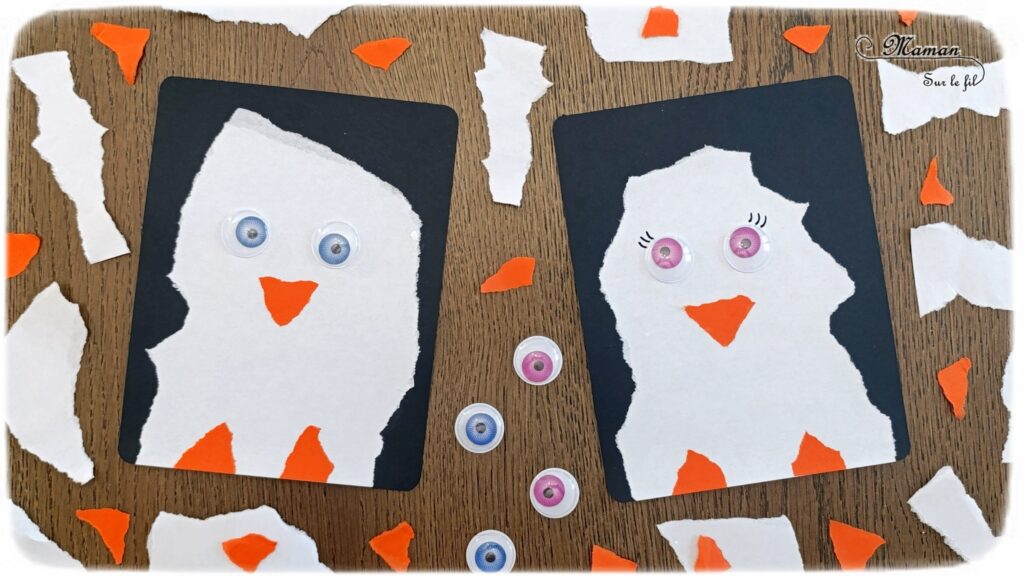 Créer des manchots (ou pingouins) en papier déchiré : activité créative et manuelle enfants - Technique du papier en version rectangle - Manchots mâle et femelle (couple) façon galerie de portraits - Découpage, collage - Thème hiver, animaux du froid et de la banquise - Bricolage et décoration sympa et facile - Arts visuels Maternelle et cycle 2 - Maternelle et élémentaire - Créativité - Cycle 1 ou 2 - tutoriel photos - mslf