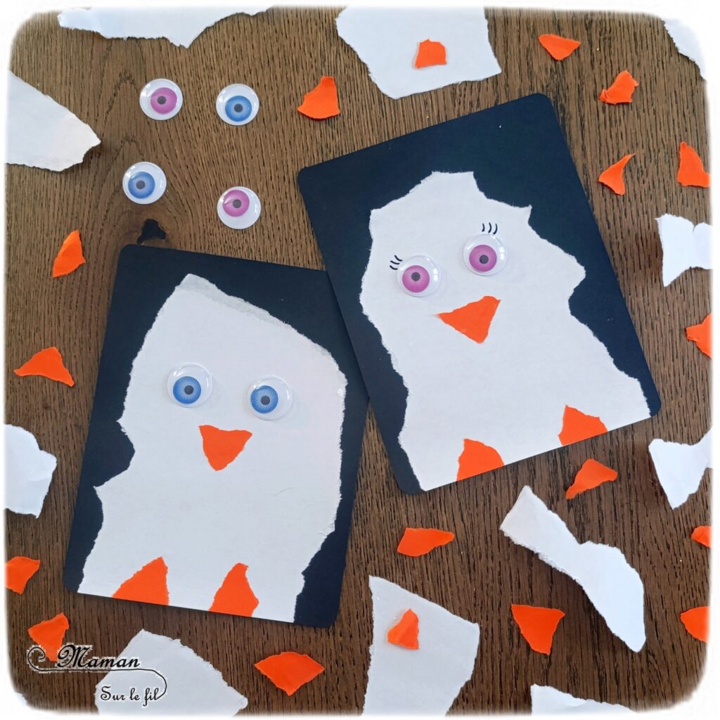 Créer des manchots (ou pingouins) en papier déchiré : activité créative et manuelle enfants - Technique du papier en version rectangle - Manchots mâle et femelle (couple) façon galerie de portraits - Découpage, collage - Thème hiver, animaux du froid et de la banquise - Bricolage et décoration sympa et facile - Arts visuels Maternelle et cycle 2 - Maternelle et élémentaire - Créativité - Cycle 1 ou 2 - tutoriel photos - mslf