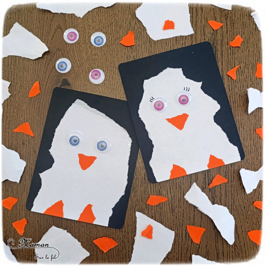 Créer des manchots (ou pingouins) en papier déchiré : activité créative et manuelle enfants - Technique du papier en version rectangle - Manchots mâle et femelle (couple) façon galerie de portraits - Découpage, collage - Thème hiver, animaux du froid et de la banquise - Bricolage et décoration sympa et facile - Arts visuels Maternelle et cycle 2 - Maternelle et élémentaire - Créativité - Cycle 1 ou 2 - tutoriel photos - mslf