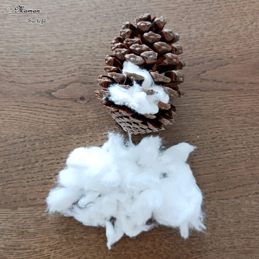 Fabriquer une harfang des neiges avec une pomme de pin et du coton : activité créative, nature et manuelle enfants - Récup', recyclage, surcyclage de pommes de pin - Chouette, Hibou des neiges - Décoration, bricolage Land Art et feutrine - Thème hiver, animaux du froid et de la banquise, oiseaux - Bricolage et décoration sympa et facile - Arts visuels Maternelle et cycle 2 - Maternelle et élémentaire - Créativité - Cycle 1 ou 2 - tutoriel photos - mslf