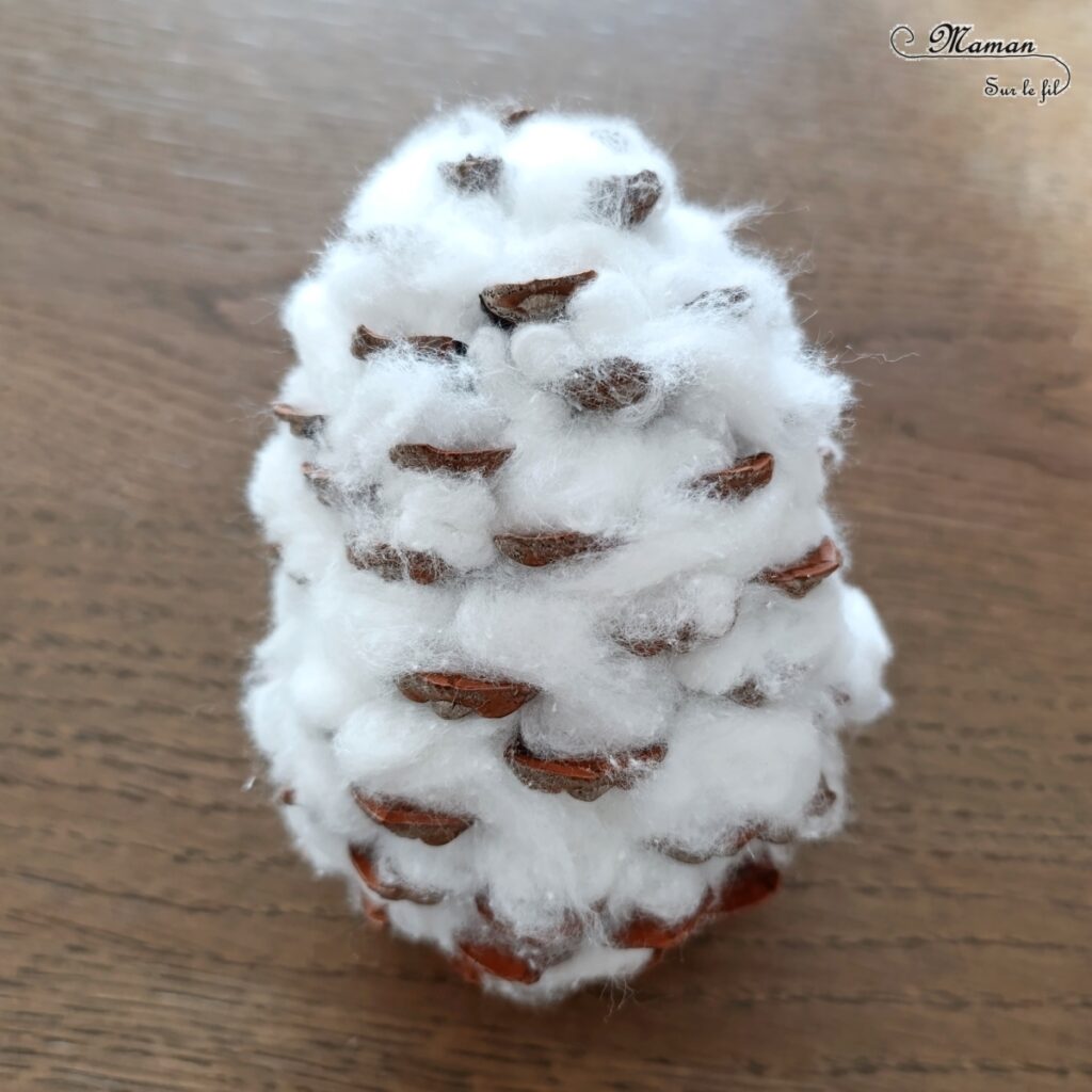 Fabriquer une harfang des neiges avec une pomme de pin et du coton : activité créative, nature et manuelle enfants - Récup', recyclage, surcyclage de pommes de pin - Chouette, Hibou des neiges - Décoration, bricolage Land Art et feutrine - Thème hiver, animaux du froid et de la banquise, oiseaux - Bricolage et décoration sympa et facile - Arts visuels Maternelle et cycle 2 - Maternelle et élémentaire - Créativité - Cycle 1 ou 2 - tutoriel photos - mslf