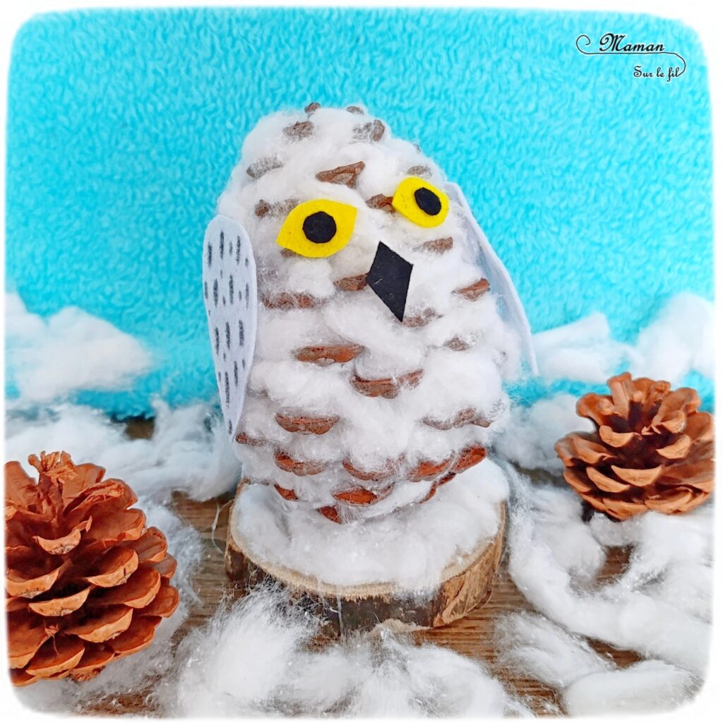 Fabriquer une harfang des neiges avec une pomme de pin et du coton : activité créative, nature et manuelle enfants - Récup', recyclage, surcyclage de pommes de pin - Chouette, Hibou des neiges - Décoration, bricolage Land Art et feutrine - Thème hiver, animaux du froid et de la banquise, oiseaux - Bricolage et décoration sympa et facile - Arts visuels Maternelle et cycle 2 - Maternelle et élémentaire - Créativité - Cycle 1 ou 2 - tutoriel photos - mslf