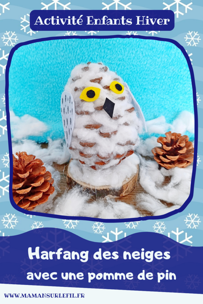 Fabriquer une harfang des neiges avec une pomme de pin et du coton : activité créative, nature et manuelle enfants - Récup', recyclage, surcyclage de pommes de pin - Chouette, Hibou des neiges - Décoration, bricolage Land Art et feutrine - Thème hiver, animaux du froid et de la banquise, oiseaux - Bricolage et décoration sympa et facile - Arts visuels Maternelle et cycle 2 - Maternelle et élémentaire - Créativité - Cycle 1 ou 2 - tutoriel photos - mslf