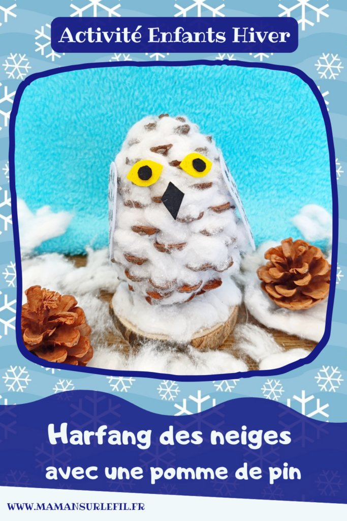 Fabriquer une harfang des neiges avec une pomme de pin et du coton : activité créative, nature et manuelle enfants - Récup', recyclage, surcyclage de pommes de pin - Chouette, Hibou des neiges - Décoration, bricolage Land Art et feutrine - Thème hiver, animaux du froid et de la banquise, oiseaux - Bricolage et décoration sympa et facile - Arts visuels Maternelle et cycle 2 - Maternelle et élémentaire - Créativité - Cycle 1 ou 2 - tutoriel photos - mslf