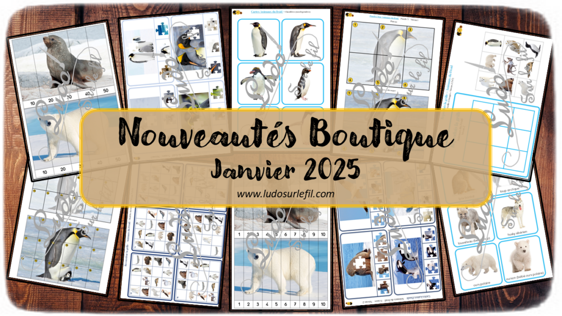 Nouveautés janvier 2025 - Boutique en ligne Ludo sur le fil - fichiers jeux pdf à télécharger et imprimer ou jeux imprimés envoyés à domicile - Thèmes Animaux du froid et de la banquise - Cartes type Montessori, photos sur fond blanc, cartes classifiées, nomenclature, tickets de lecture, cartes à pince, puzzles numériques, puzzles Trac, reproduis la grille - Photos - Association, mise en paire, lecture - jeux, activités - atelier autocorrectif multi niveaux donc progressif - Vocabulaire, lexique - Maternelle Cycle 2 - Autonomie - Hiver, pôles, Antarctique, Arctique - mslf